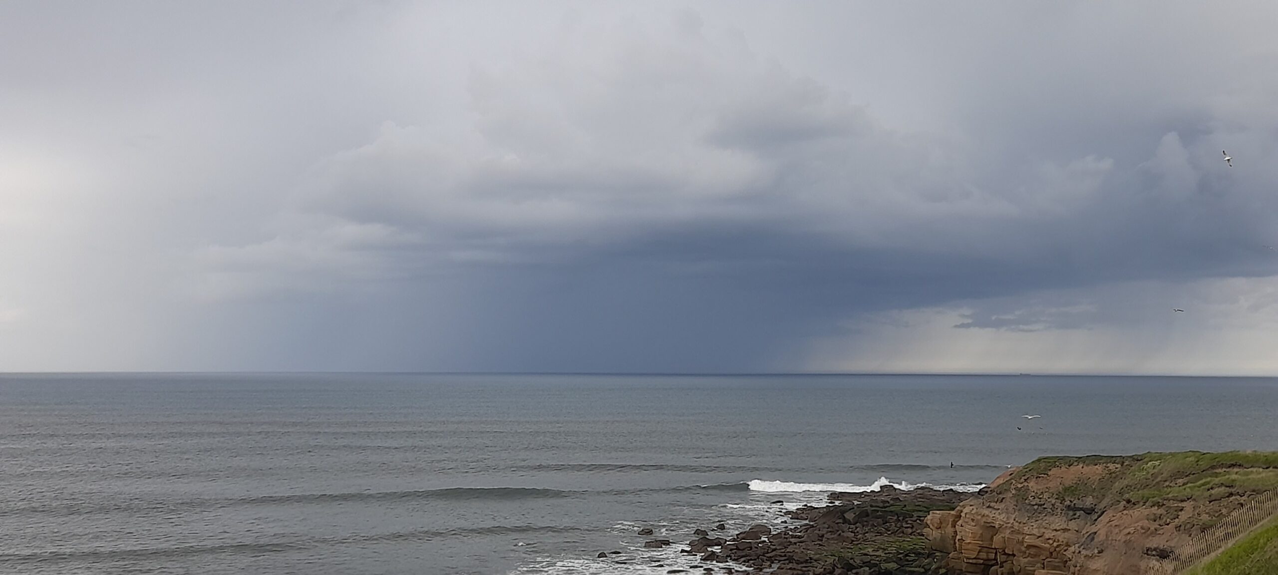 Image of a coastal scene.